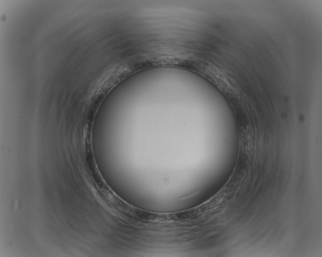 X0000087050742200704181002