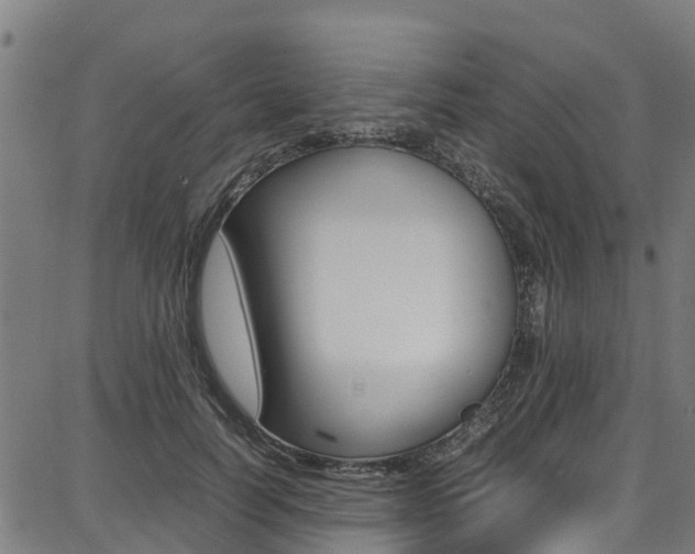 X0000087050746200704181002