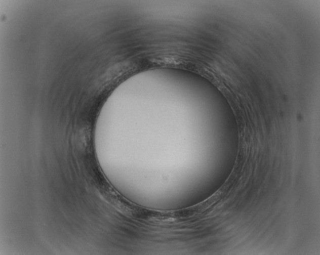 X0000087050747200704181002