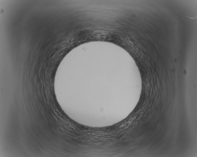 X0000087050769200704181001