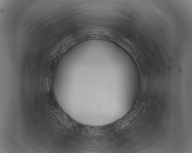 X0000087050774200704181001