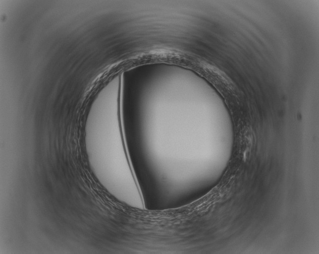 X0000087050776200704181001