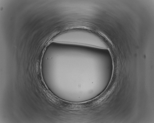 X0000087050777200704181001
