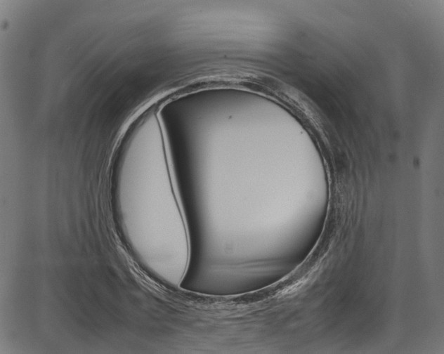 X0000087050779200704181001