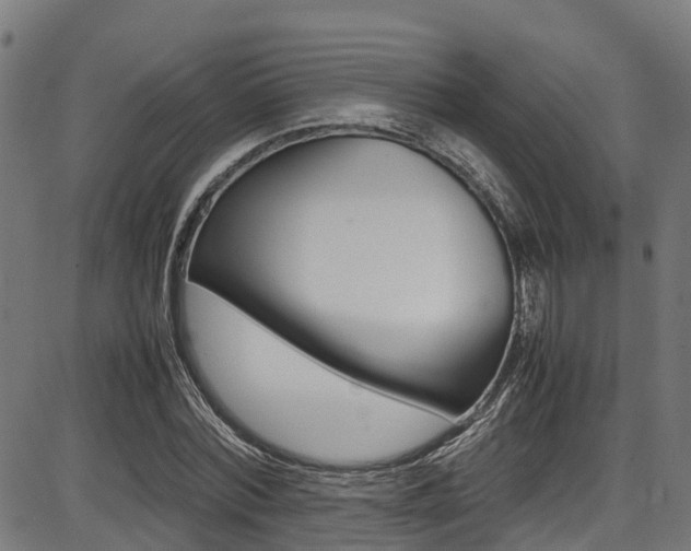 X0000087050780200704181001