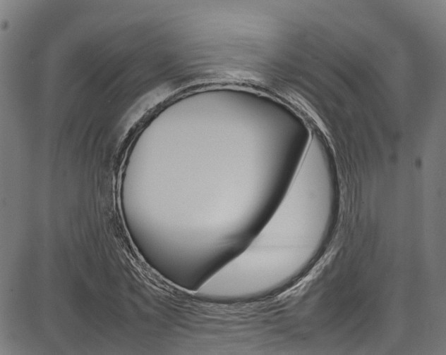 X0000087050781200704181001