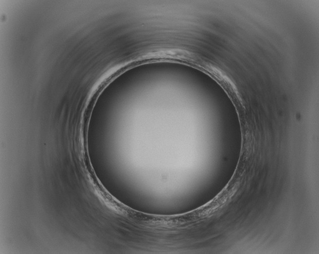 X0000087050792200704181001