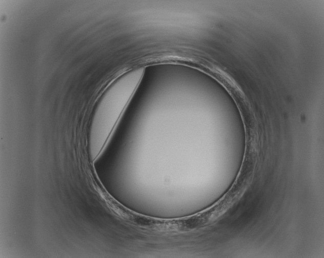 X0000087050793200704181001