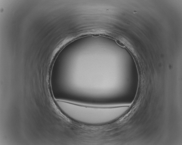 X0000087050797200704181001