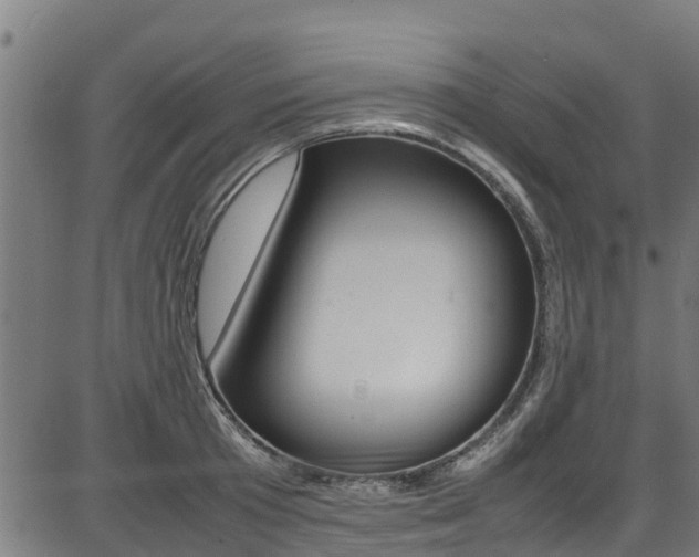 X0000087050801200704181001