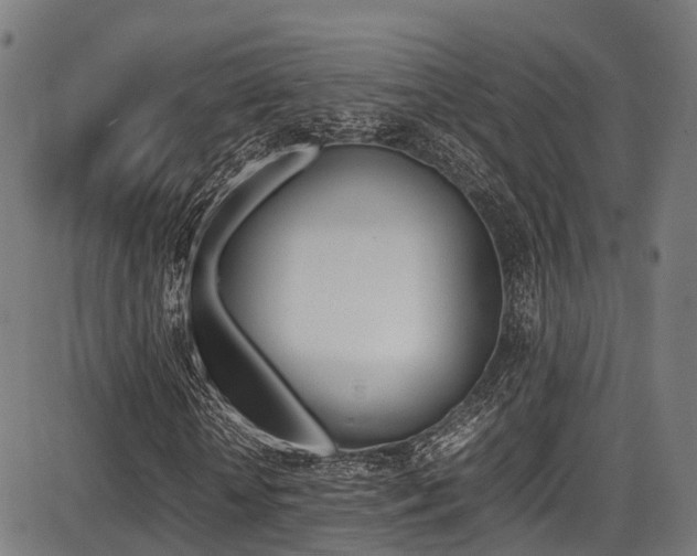 X0000087050818200704181000