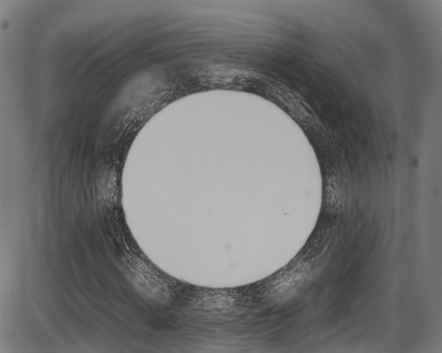 X0000087050820200704181000