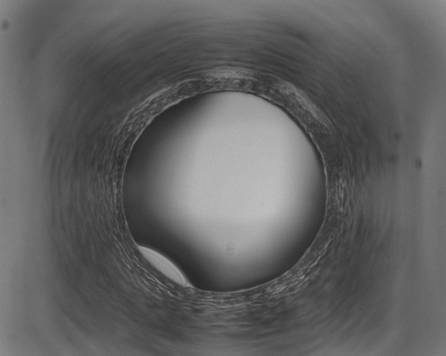 X0000087050821200704181000