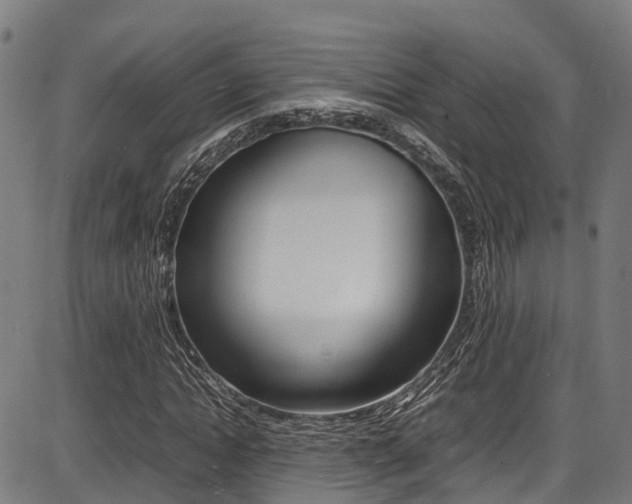 X0000087050822200704181000