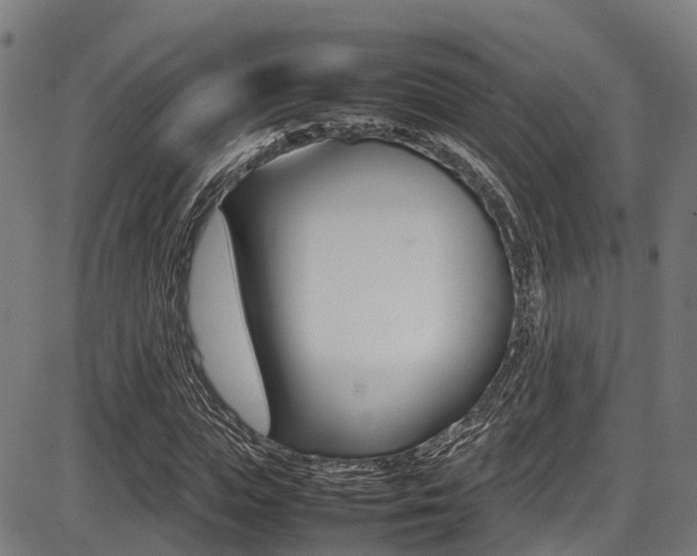 X0000087050823200704181000