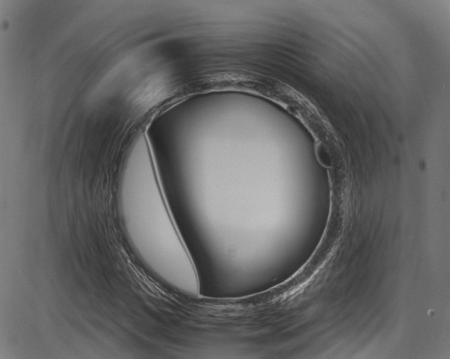 X0000087050825200704181000