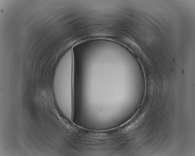 X0000087050833200704181000