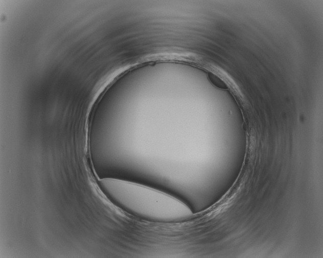 X0000087050844200704181000