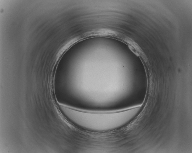 X0000087050850200704181000