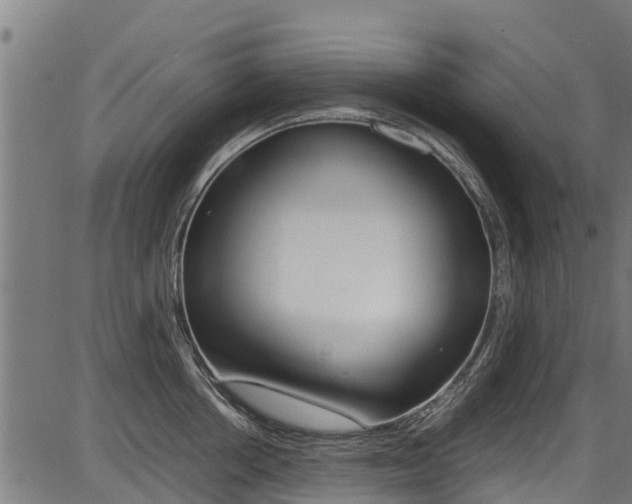 X0000087050858200704181000
