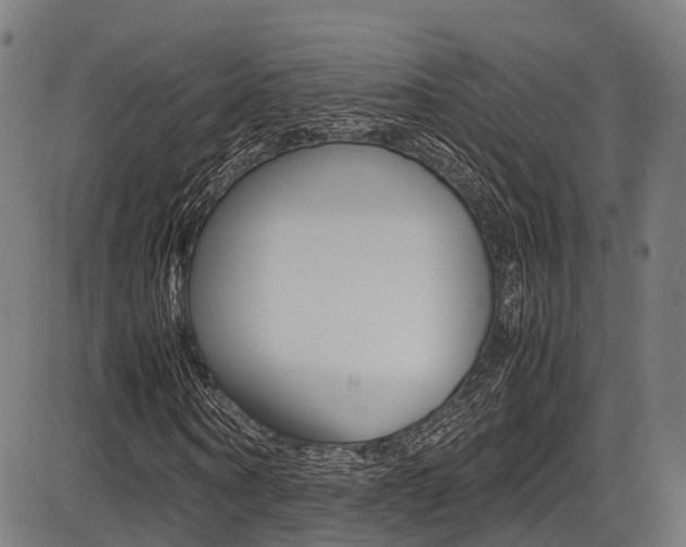 X0000087050866200704181000