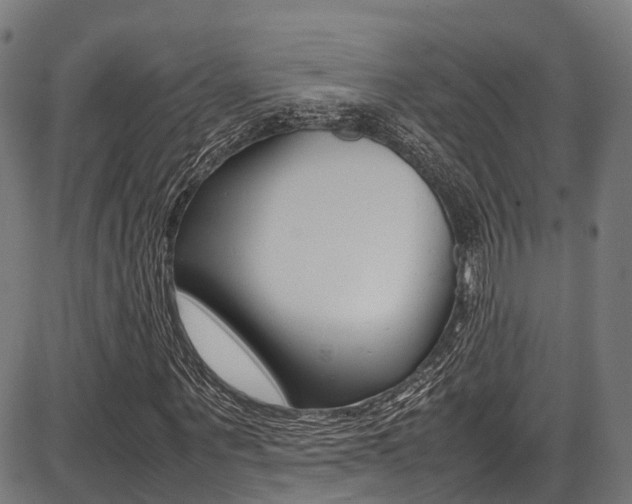 X0000087050867200704181000