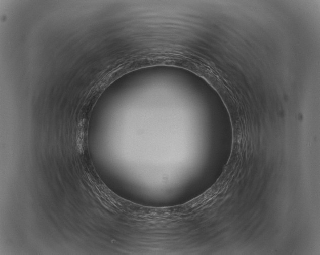 X0000087050868200704181000