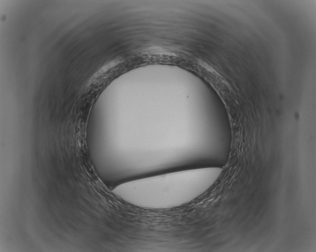 X0000087050870200704181000