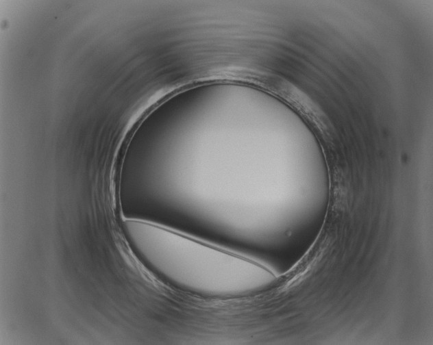 X0000087050892200704180959
