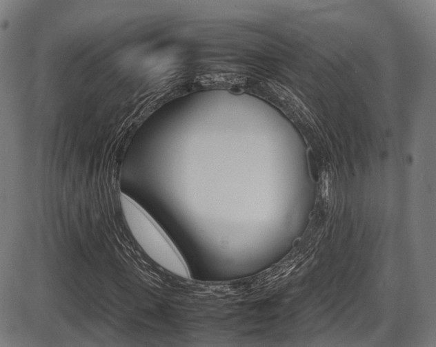 X0000087050915200704180958