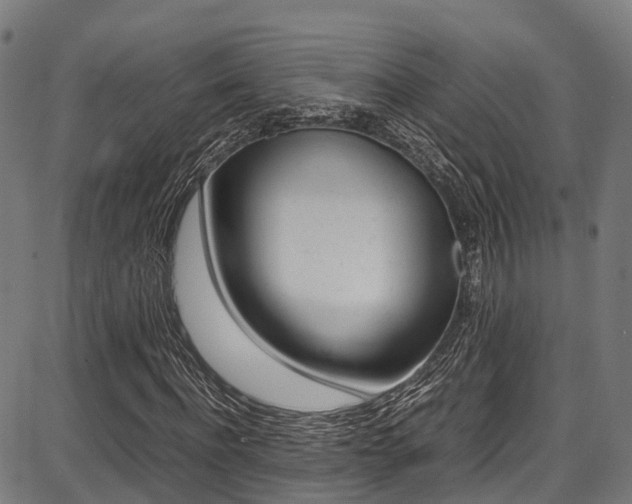 X0000087050916200704180958