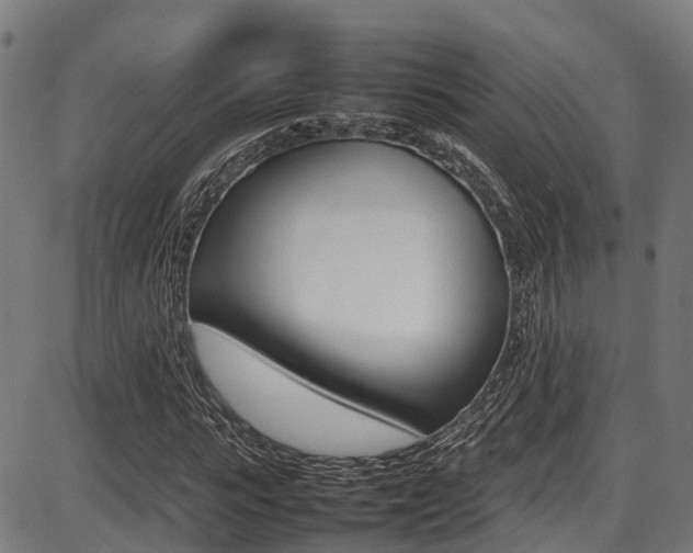 X0000087050919200704180958
