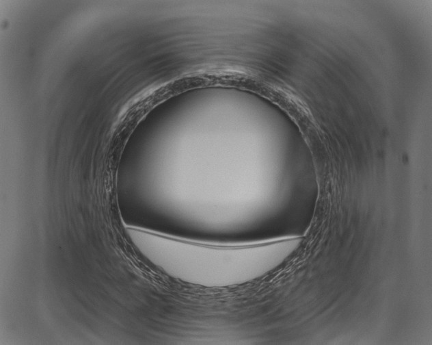 X0000087050920200704180958