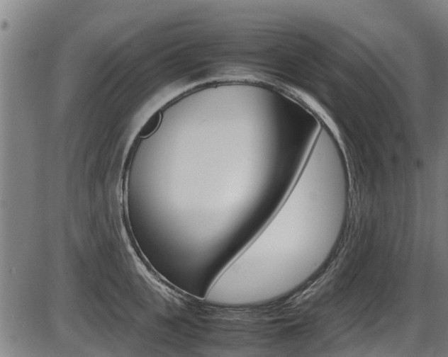 X0000087050951200704180959