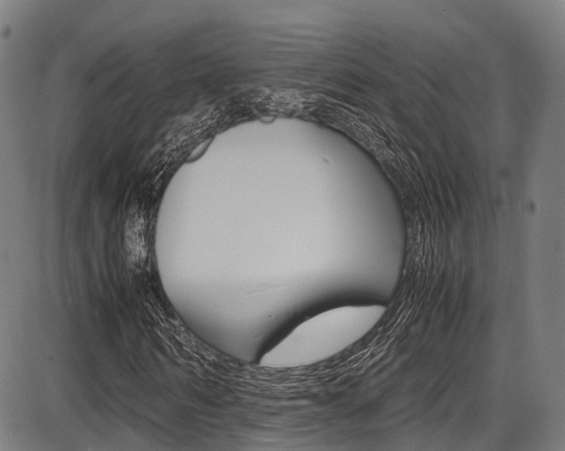 X0000087050962200704180958
