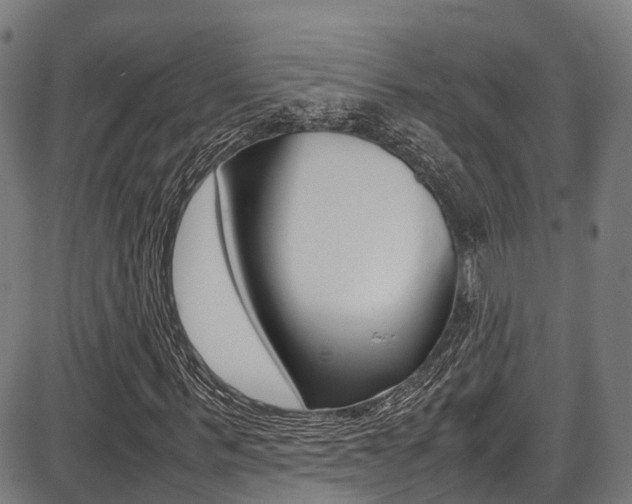 X0000087050963200704180958