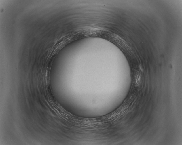 X0000087050964200704180958