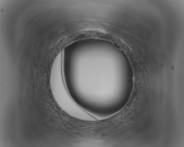 X0000087050965200704180958