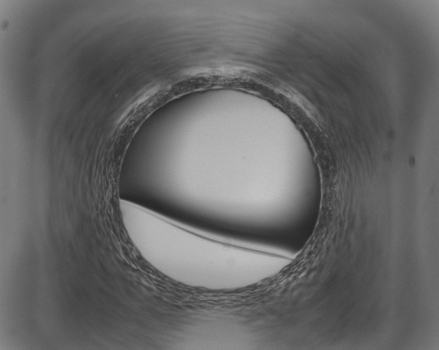 X0000087050967200704180958