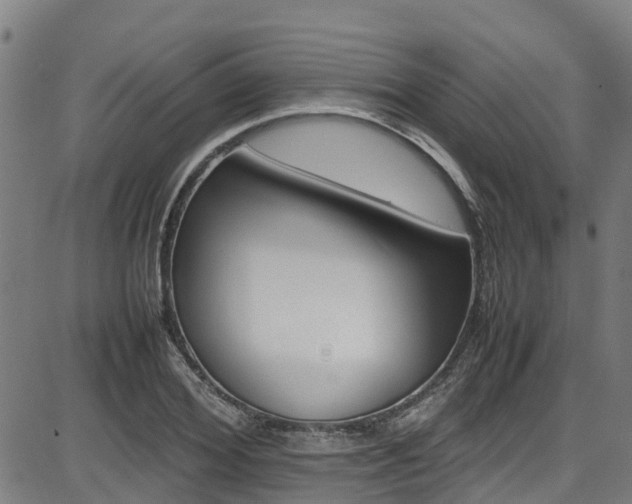X0000087050980200704180958