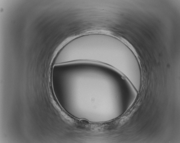 X0000087051005200704180957