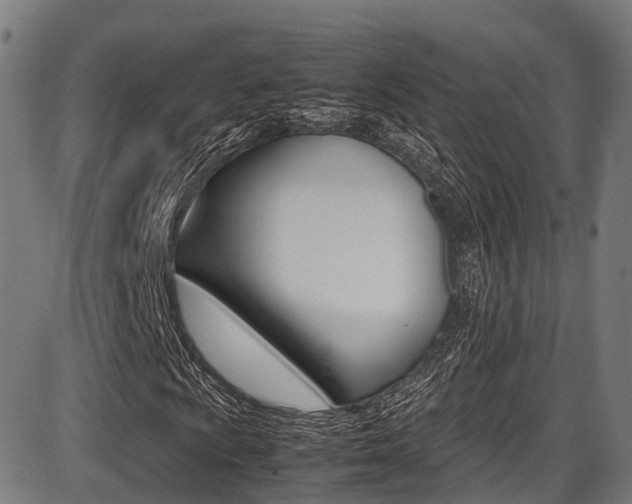 X0000087051009200704180956