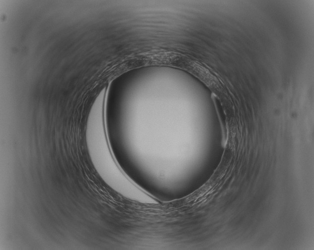 X0000087051010200704180957