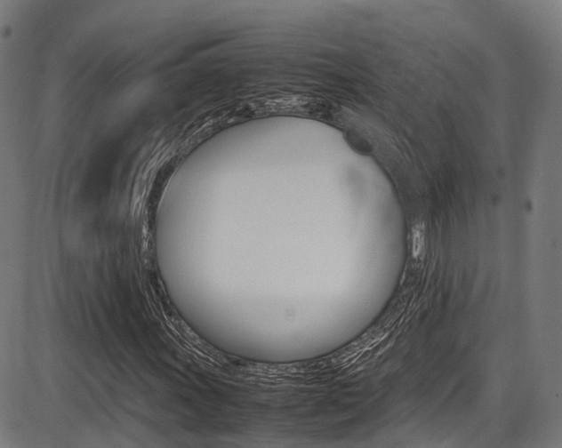 X0000087051011200704180957