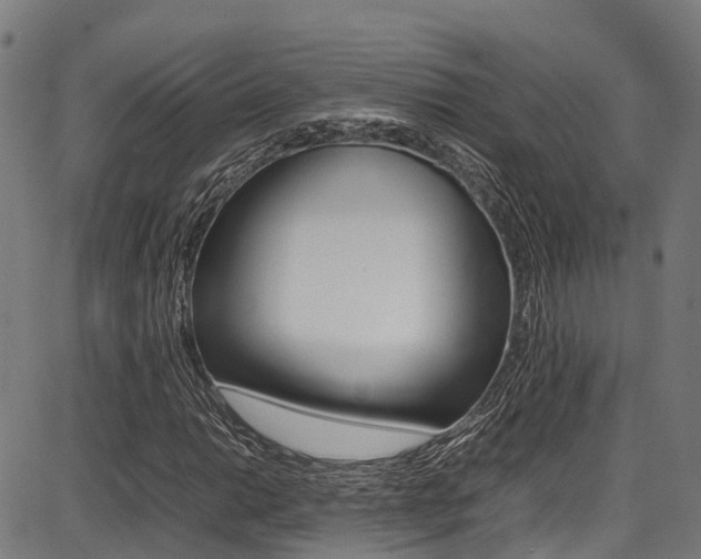 X0000087051014200704180957