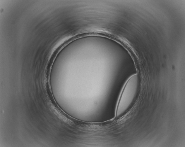 X0000087051024200704180957