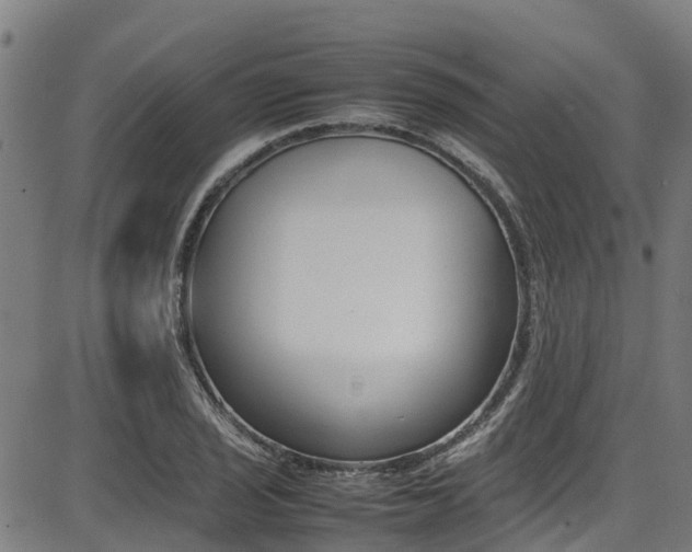 X0000087051029200704180957