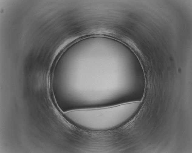 X0000087051032200704180957