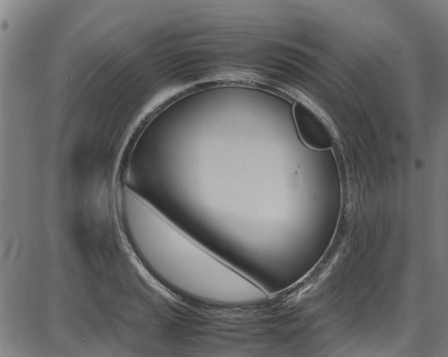 X0000087051037200704180957