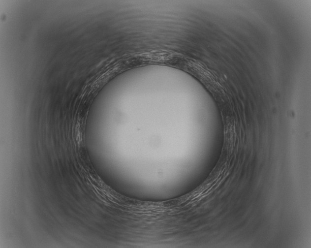 X0000087051058200704180956